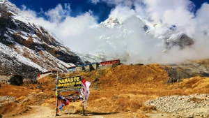 Annapurna Circuit vs Annapurna Base Camp: Which Trek Should You Choose?