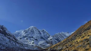 Annapurna Region Treks: Routes, Cost & Best Time (2026 Guide)