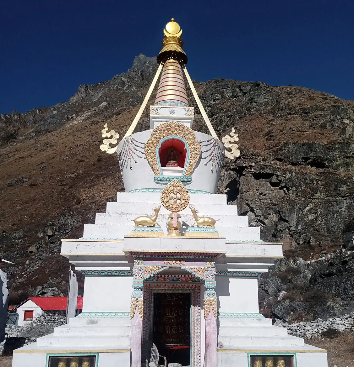 kyangin-gompa-langtang-region