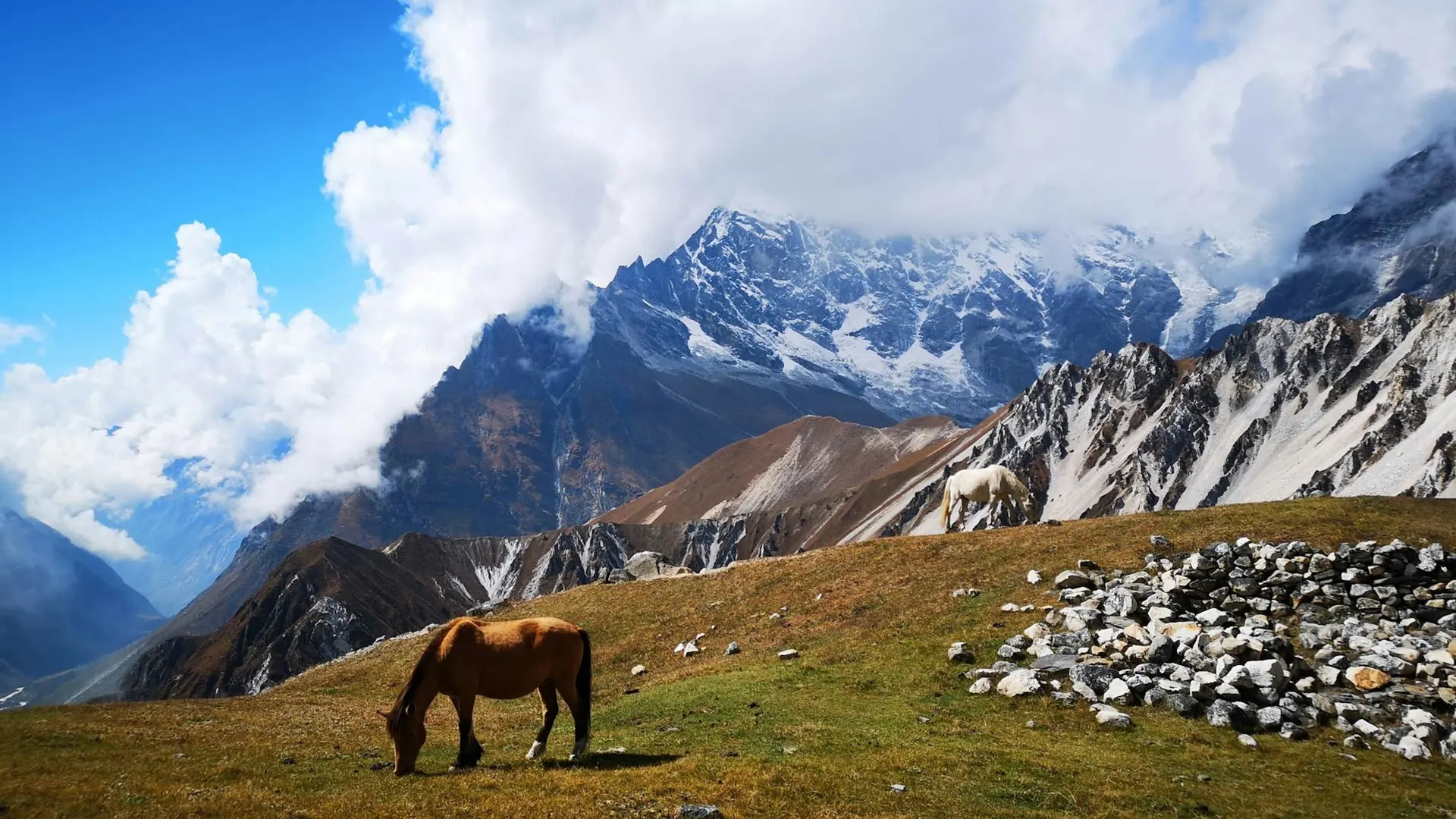Langtang Region