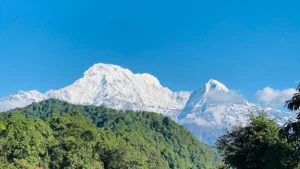 Short Mardi Himal Trek 5-Days