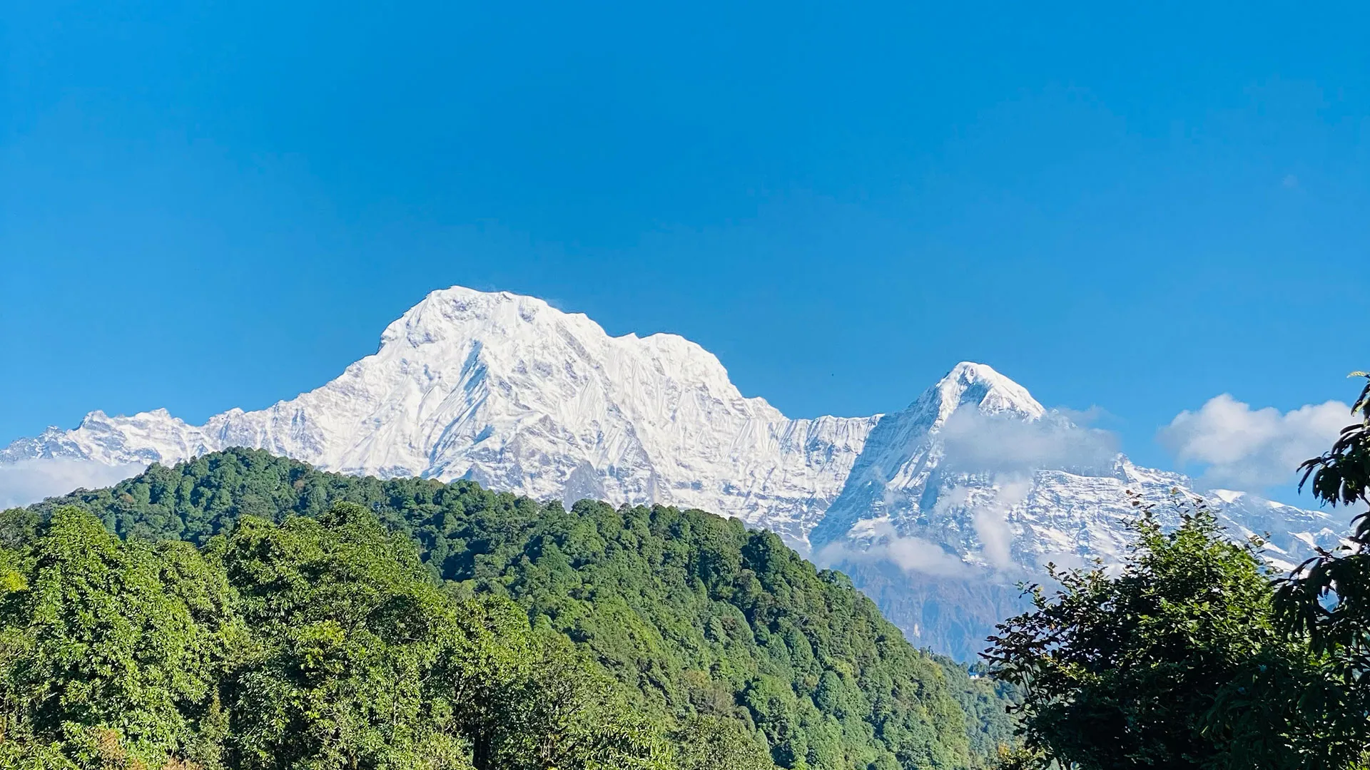 Snow-capped peaks of Annapurna South and Hiunchuli towering over green forested hills in Nepal.