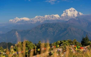 Poon Hill vs Annapurna Base Camp: Which Trek Should You Choose?