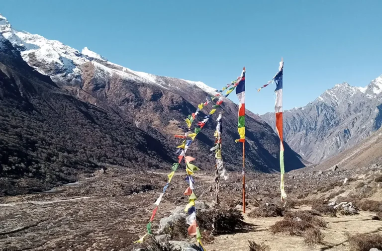Prayer flags on a Langtang region pass