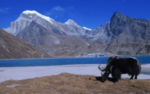Gokyo Lakes Trek Guide (2026): Nepal’s Highest Freshwater Lakes