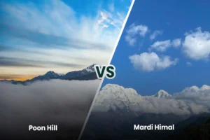 Mardi Himal vs Poon Hill: Which Trek Should You Pick?