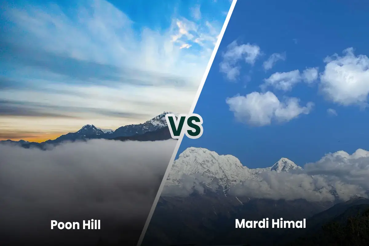 Mardi Himal Trek vs Poon Hill Comparison, Price, Cost, Itinerary, Best Season 2026/2027